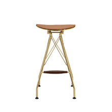 Dragea - Bar Stool (Set of 2) - Whiskey PU & Gold