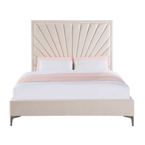 Faiz - Bed
