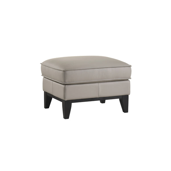 Aaron Leather Ottoman Mist Gray