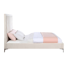 Faiz - Bed