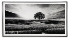 Deborland - Wall Art - Black / White