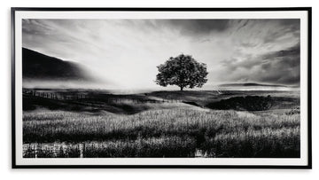 Deborland - Wall Art - Black / White