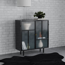 Dalia - 2 Door Accent Storage Cabinet With Shelving - Black