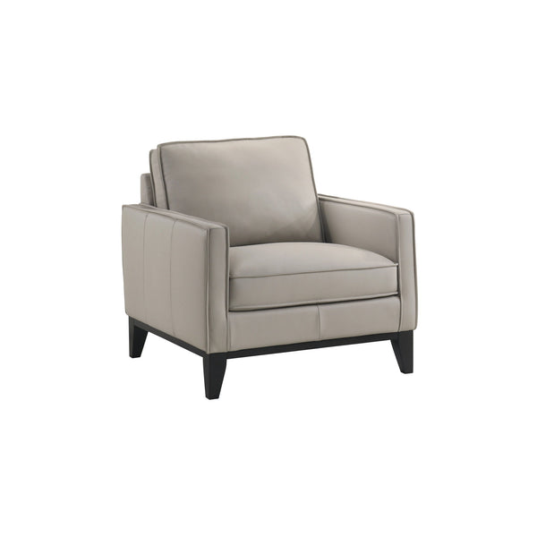 Aaron Chair Mist Gray