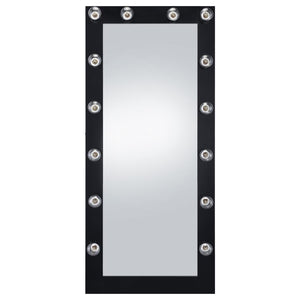 Zayan - Length Floor Mirror With Lighting