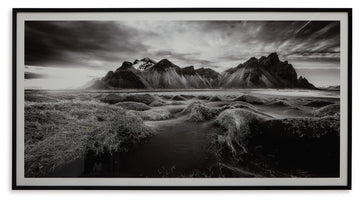 Delstone - Wall Art - Black / White