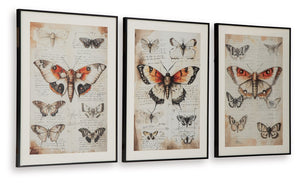 Jossletts - Orange / Black / Ivory - Wall Art Set (Set of 3)