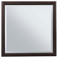 Emberlyn - Dresser Mirror - Brown