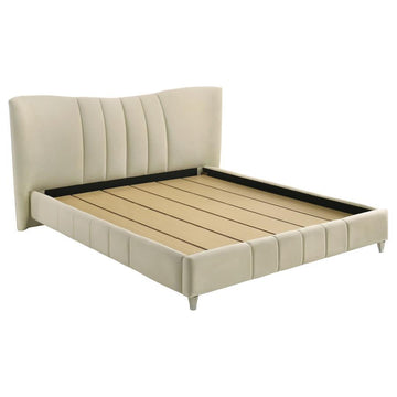 Evelyn - Upholstered Panel Platform Bed