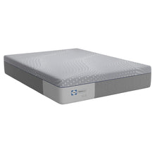 Posturepedic - 13" Lacey Firm Foam Mattress - Split King / California King