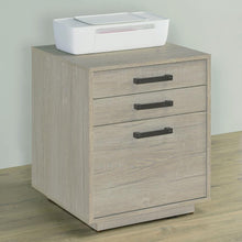 Loomis 3-drawer Home Office File Cabinet Whitewashed – White Washed Grey