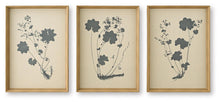 Huddwick - Wall Art Set (Set of 3) - Linen / Black