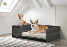 Esme Ash Gray 47" Modern Comfy Pet Bed