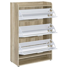 Denia 3-tier Engineered Wood Shoe Cabinet – White