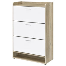 Denia 3-tier Engineered Wood Shoe Cabinet – White