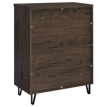Brixton 2-door Entryway Shoe Storage Cabinets – Smoked Oak