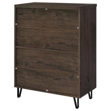 Brixton 2-door Entryway Shoe Storage Cabinets – Smoked Oak