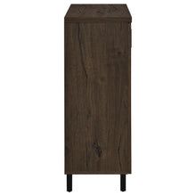 Brixton 2-door Entryway Shoe Storage Cabinets – Smoked Oak