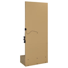 Spector 1-drawer Lighted Full-Length Floor Mirror – Mango