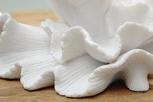 Waynemont - Sculpture - White