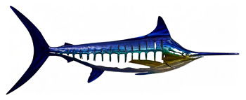 Davion Indoor/Outdoor Wall Decor Blue / Teal / Yellow