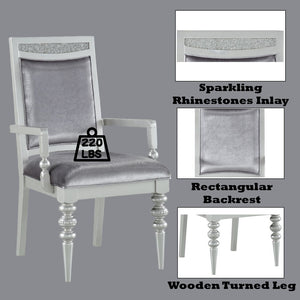 Maverick - Arm Chair (Set of 2) - Fabric & Platinum