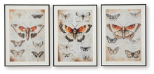 Jossletts - Orange / Black / Ivory - Wall Art Set (Set of 3)