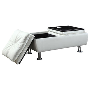 Dilleston - Storage Ottoman with Removable Trays