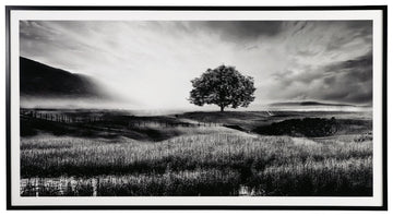 Deborland - Wall Art - Black / White