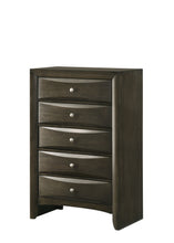 Fallon - Accent Chest