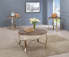 Wicklow - 3 Piece Coffee Table Set - Rustic Oak / Gold